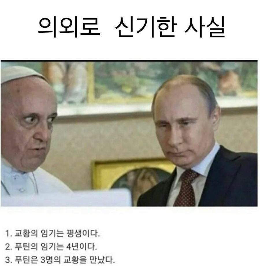 Fasce per le mani con logo grande in bianco – Fly, image size:900x945