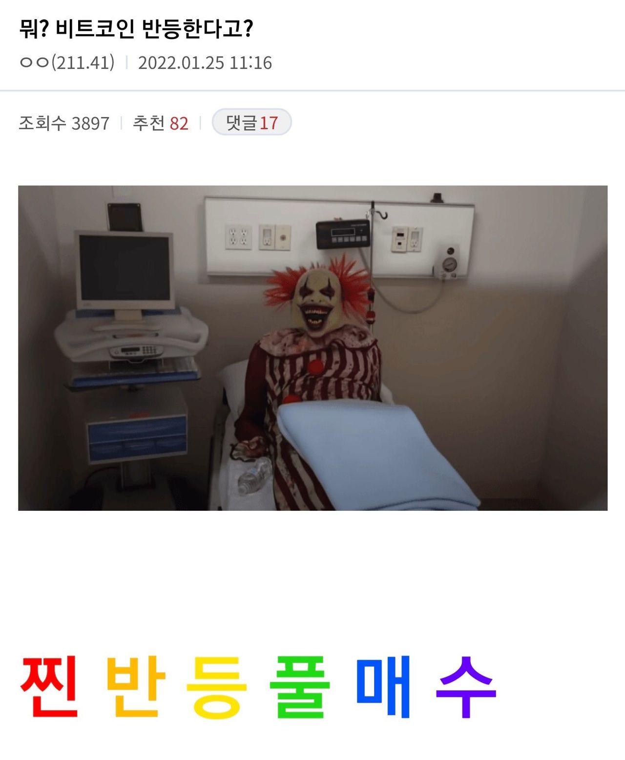 비트코인갤 ㄹㅇ 광기네 - 벽람항로 채널