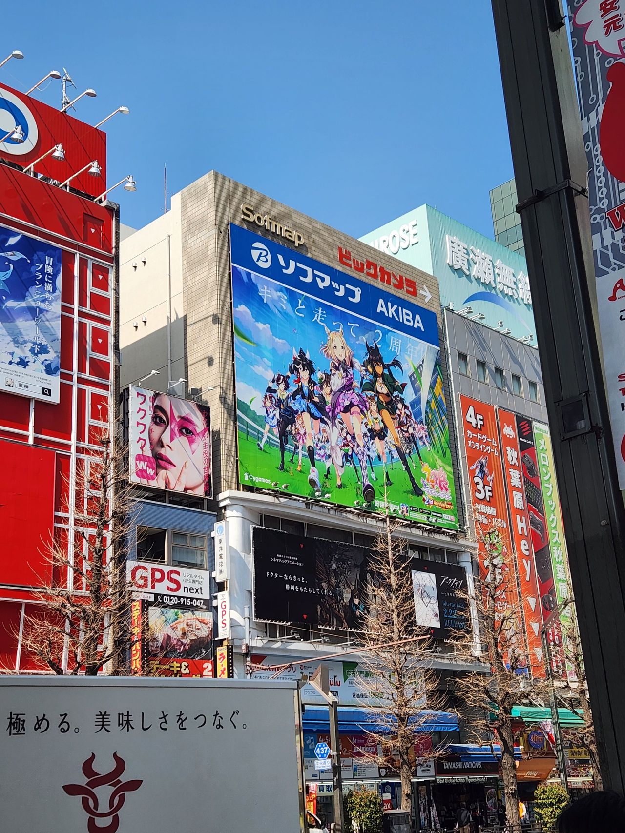 긴글 사진] 아키하바라 다녀온 후기 - 우마무스메 프리티 더비 채널