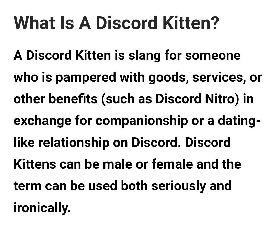 디스코드 키튼 뜻 - 홀로라이브 채널