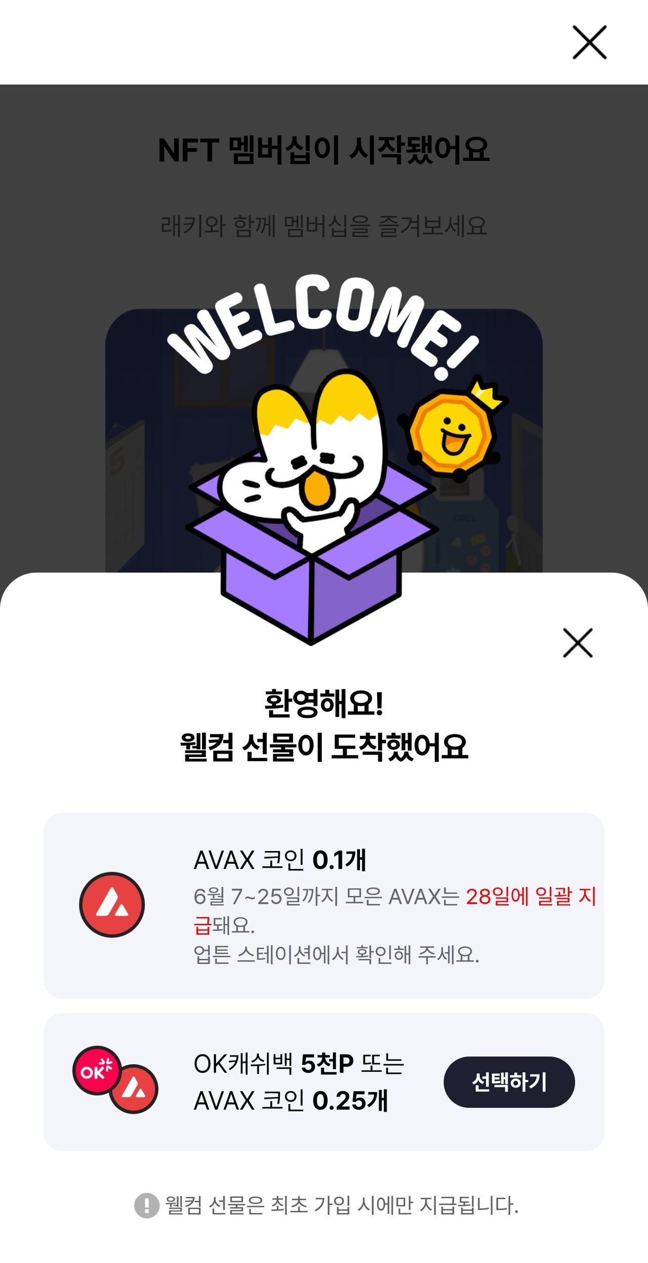 NFT 앱 설치시 OK캐쉬백 5000P 증정 (5,000원/무료) - 핫딜 채널