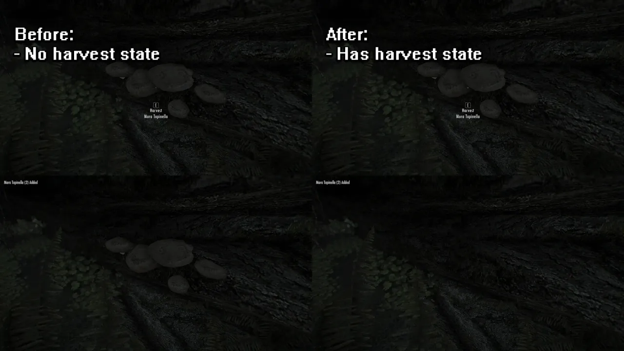 Assorted mesh fixes 불편한 메쉬 수정 툴리우스 채널