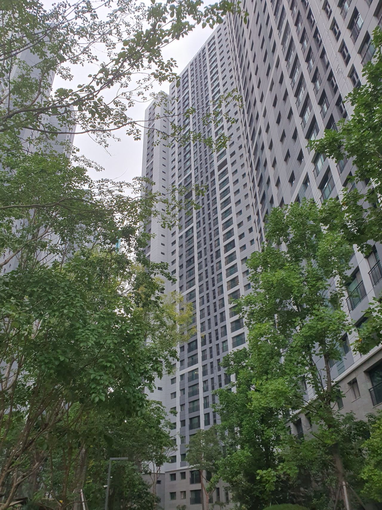 용적률 499%의 그 아파트 - 도시·지리 채널