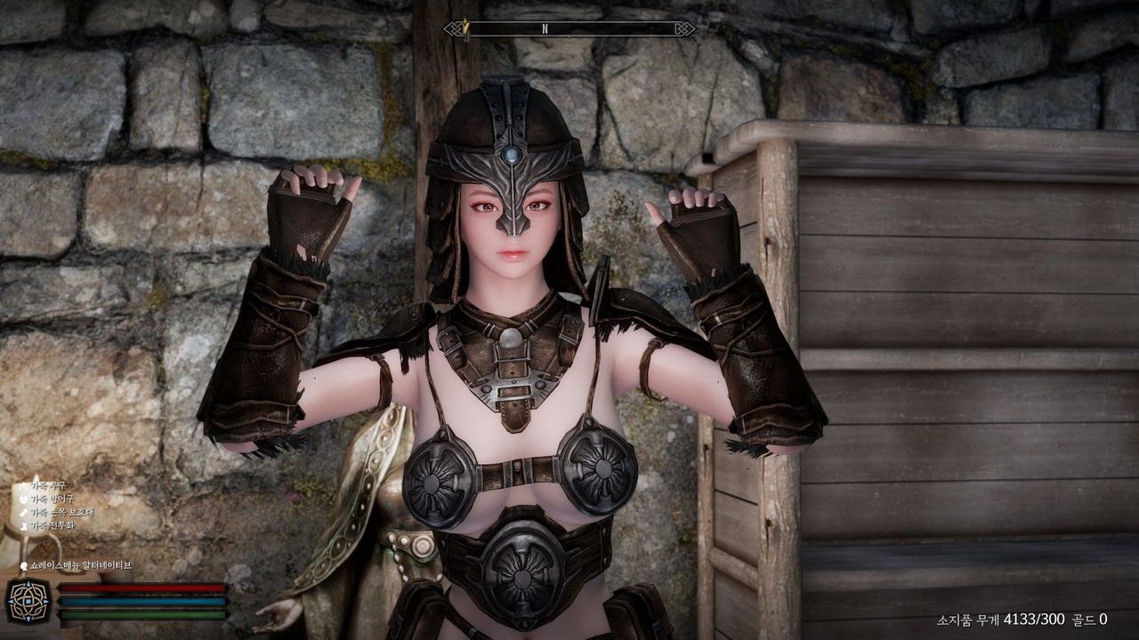 투구 제거한 BD 아머 정리 - 툴리우스 채널