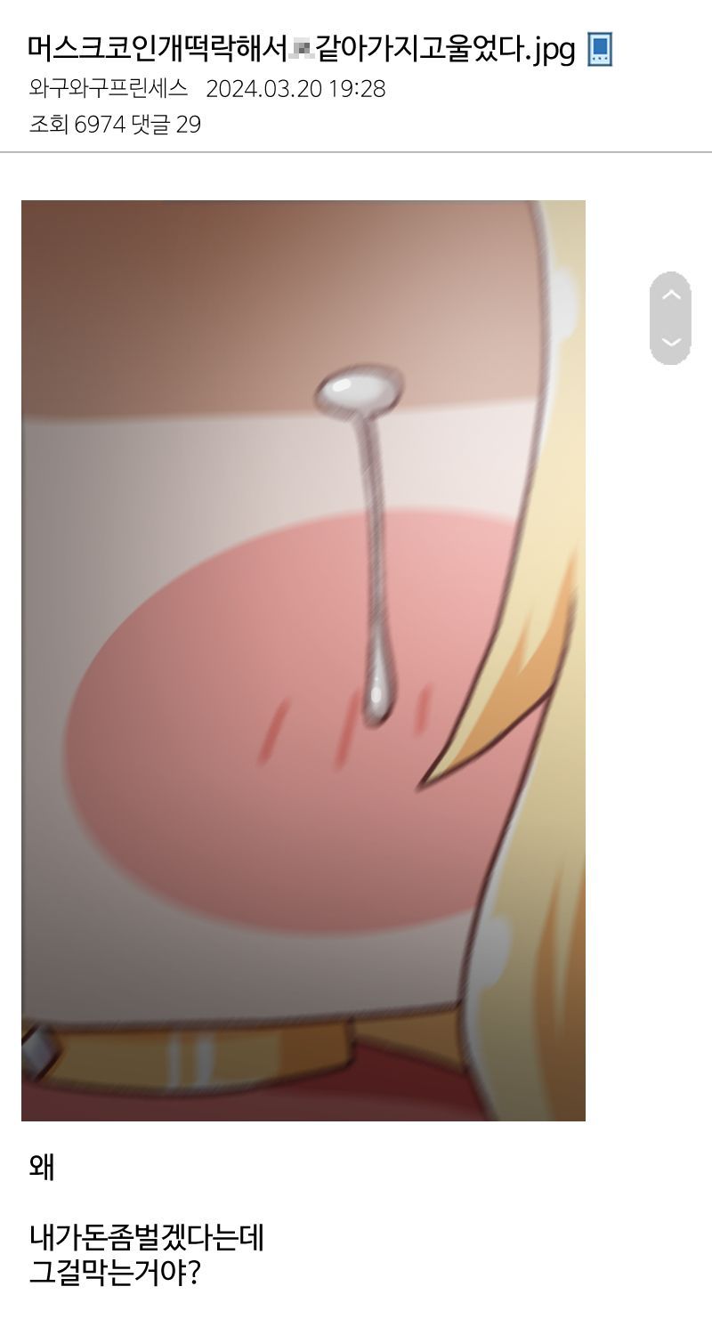 다크넷 머스크 코인갤 대참사.jpg - 베스트 라이브