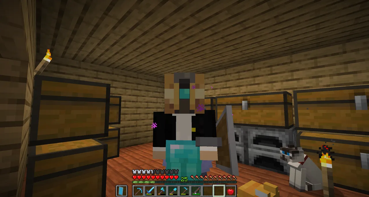 많고 많은 도전과제들 완수 해보는 글 2부 - 마인크래프트 채널