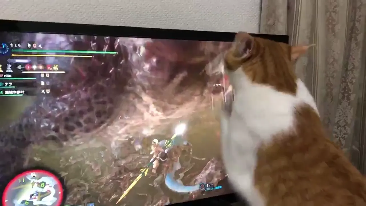 야무지게 딜 넣는 아이루 - 몬스터 헌터 채널