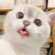 유저 그라바타 이미지