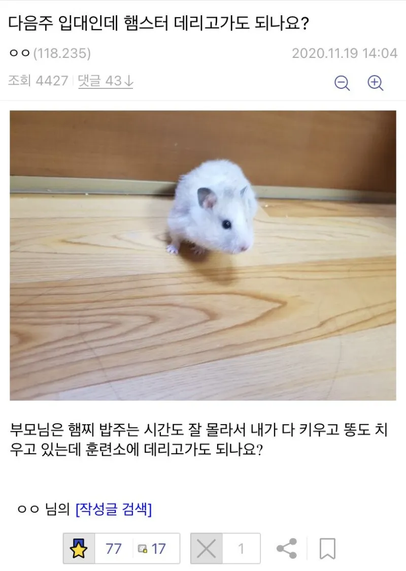 냉혹한 입대하는데 햄스터 데리고 가는 병신의 세계 - 백묘 채널